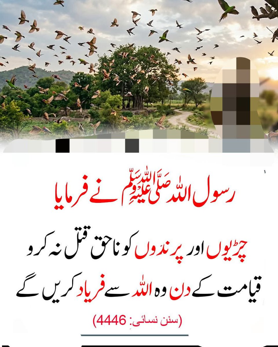 🌹فرمان رسول اللہ صلی اللہ علیہ والہ وسلم 🌹