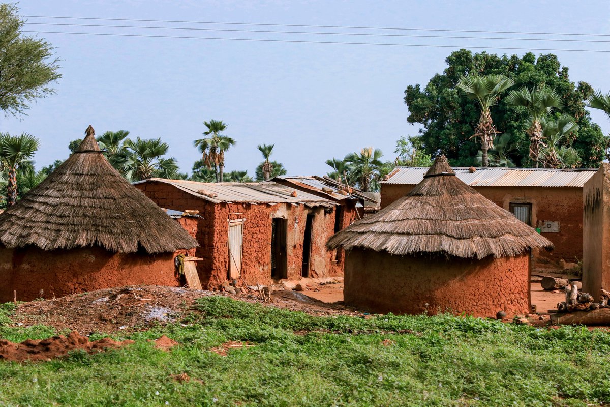 savageape tweet media