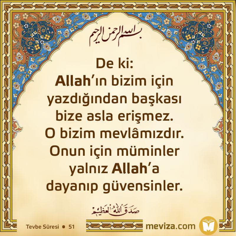 Meviza tweet media