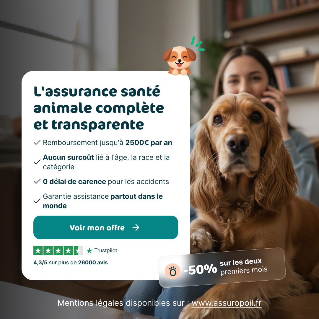 Prendre soin de lui, c’est aussi anticiper l’imprévu 🐾

Parce que votre compagnon mérite le meilleur, en toute sérénité 💛

🎁 Profitez de -50% sur les 2 premiers mois

👉 Découvrez votre offre dès maintenant bit.ly/4lQyFPf
