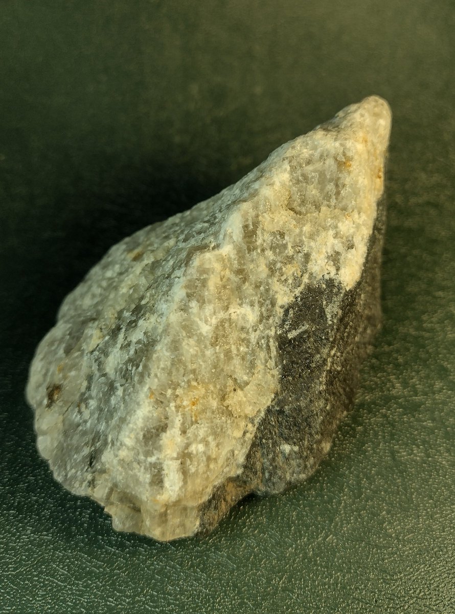 Тігра смугаста 🇺🇦 tweet media