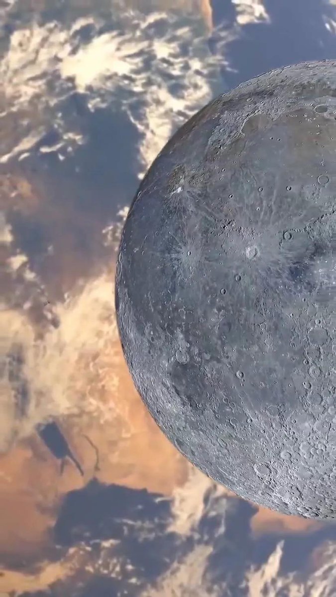 Wholesome Side of 𝕏 tweet media