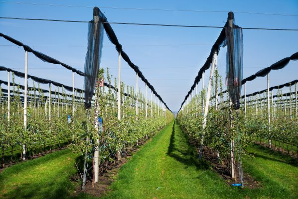 Farm Credit East tweet media