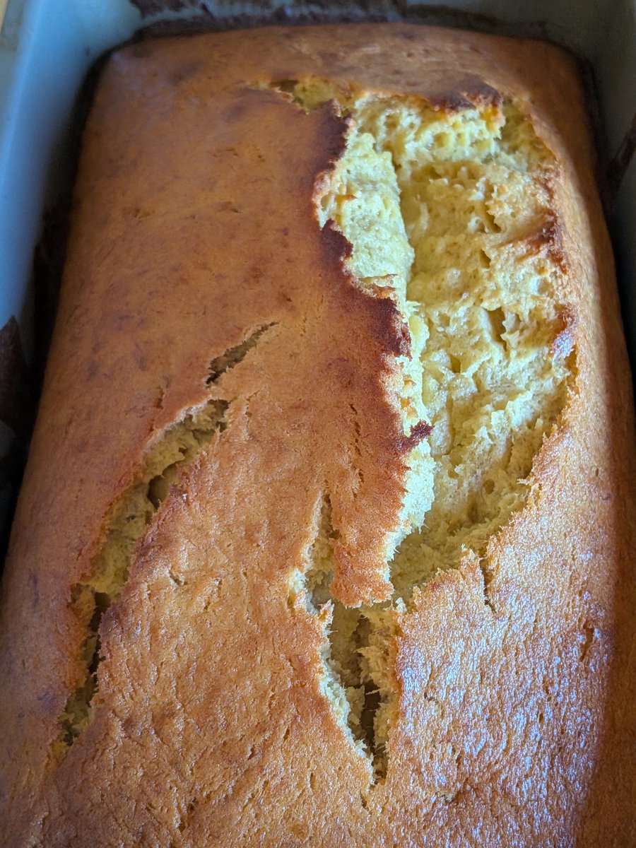 Dog 🐾【νтυвєя】 tweet media