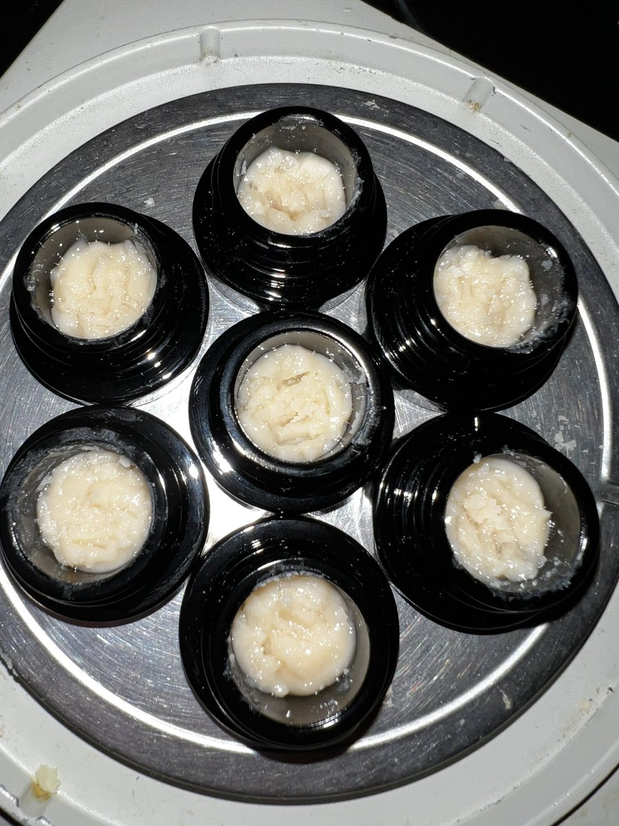 Dashy Gilmore tweet media