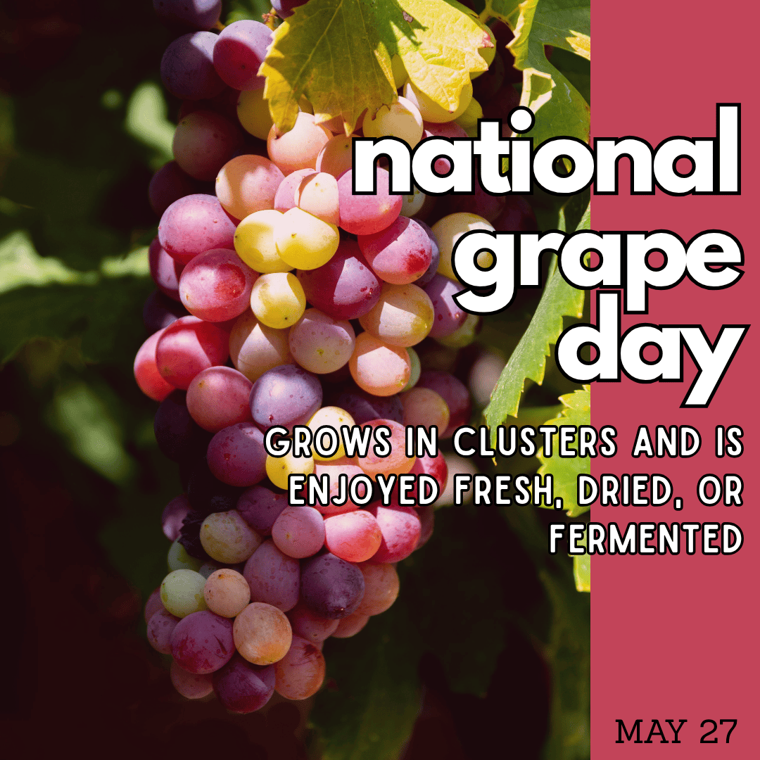CelebrateNDC's tweet photo. Tomorrow, May 27: Looking grapey, and then there's tape π€·
#NationalDayCalendar #CelebrateEveryDay #CelebrationNation https://t.co/arYPdQoldl