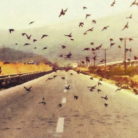 Toula Tour tweet media