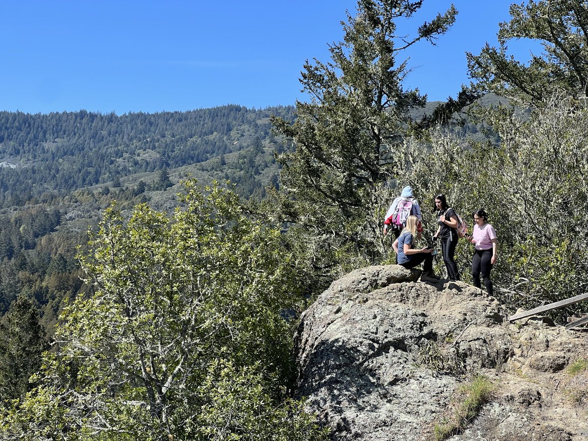 Felix Lee tweet media