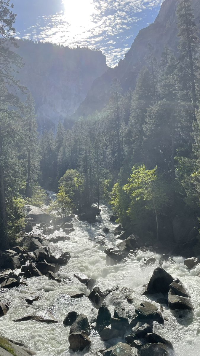 Felix Lee tweet media