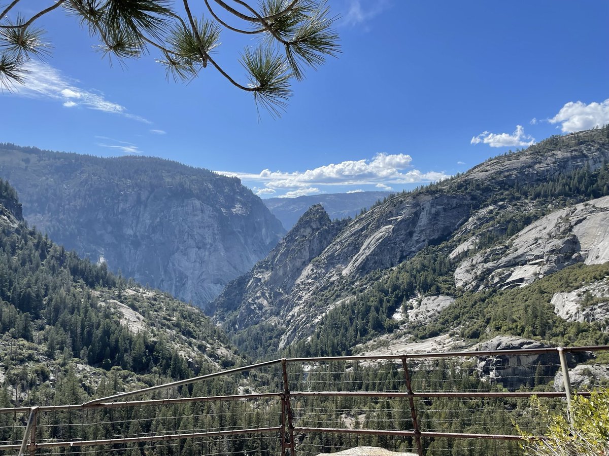 Felix Lee tweet media