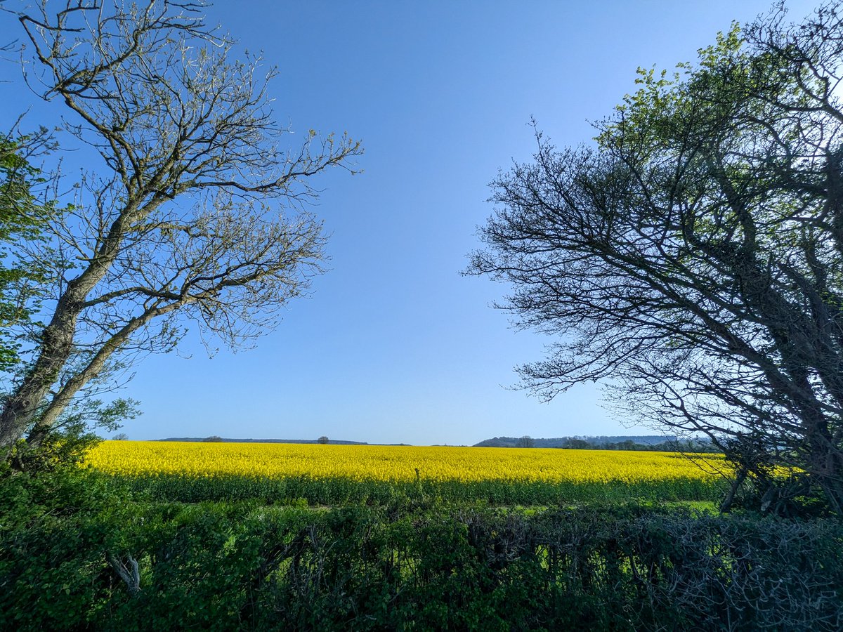 glynn_adams's tweet image. Cracking day ! ☀️Max 21c at Yeovilton here in #somerset.