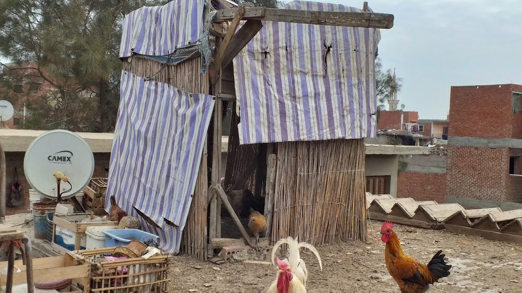 رضا الشملاني ابو مالك 🇸🇦 1727 tweet media