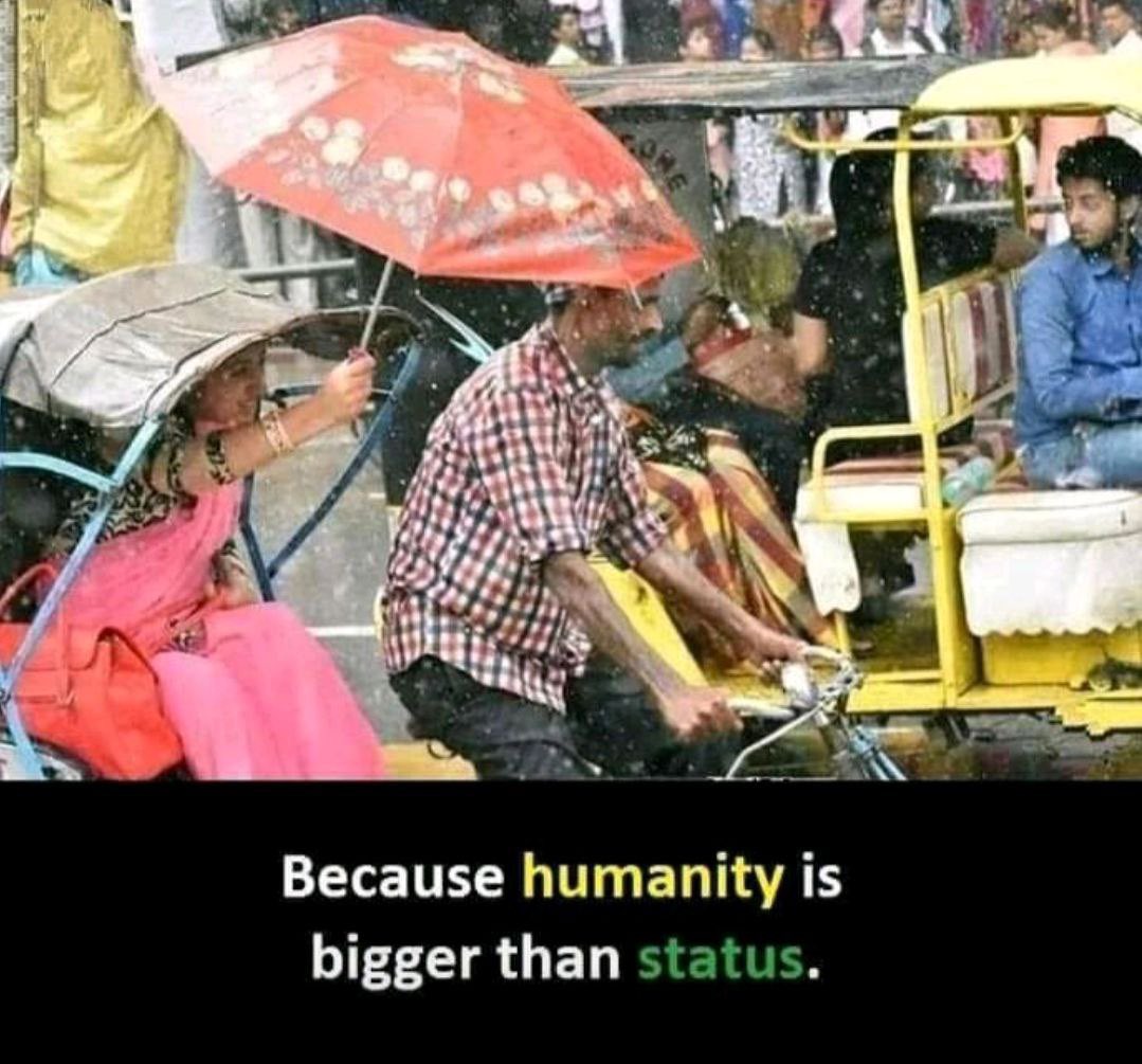 PunFu Meme Project tweet media