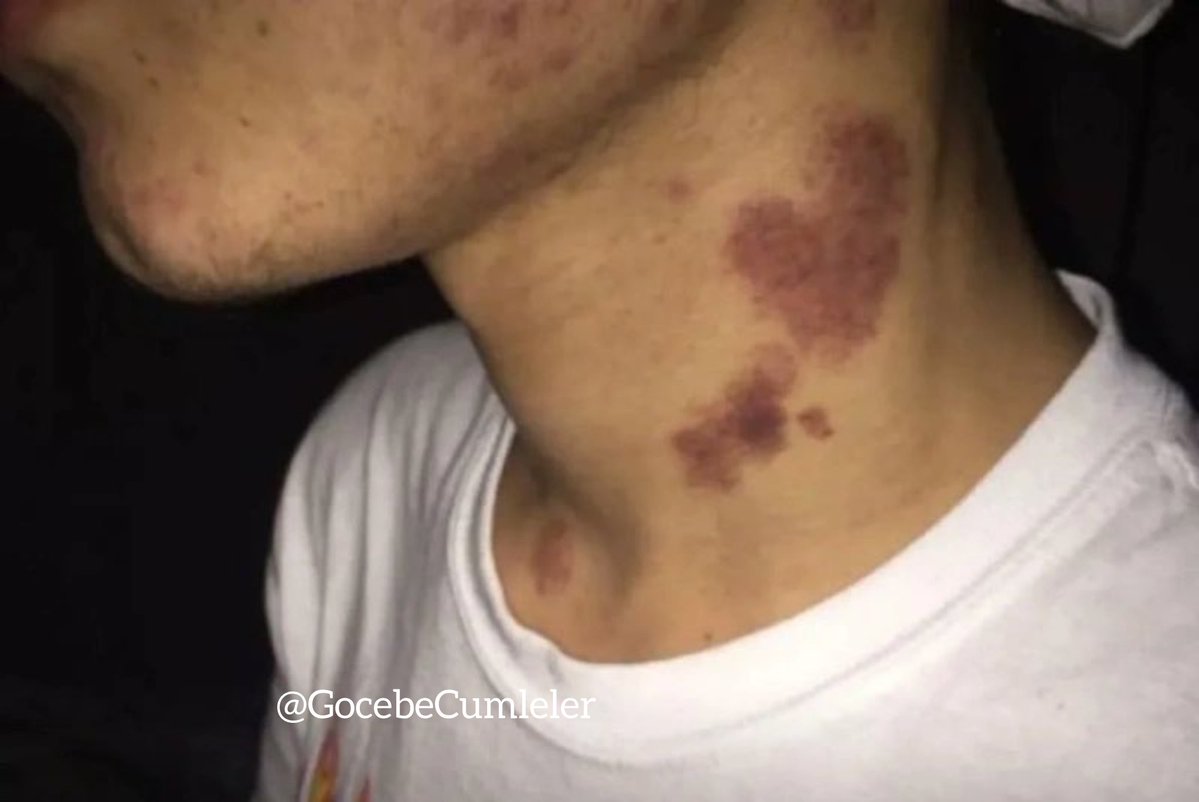 Göçebe Cümleler tweet media