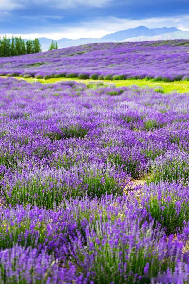 Hakalabs tweet media