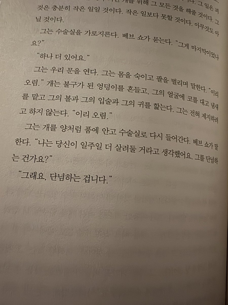 루덴스🥞 tweet media