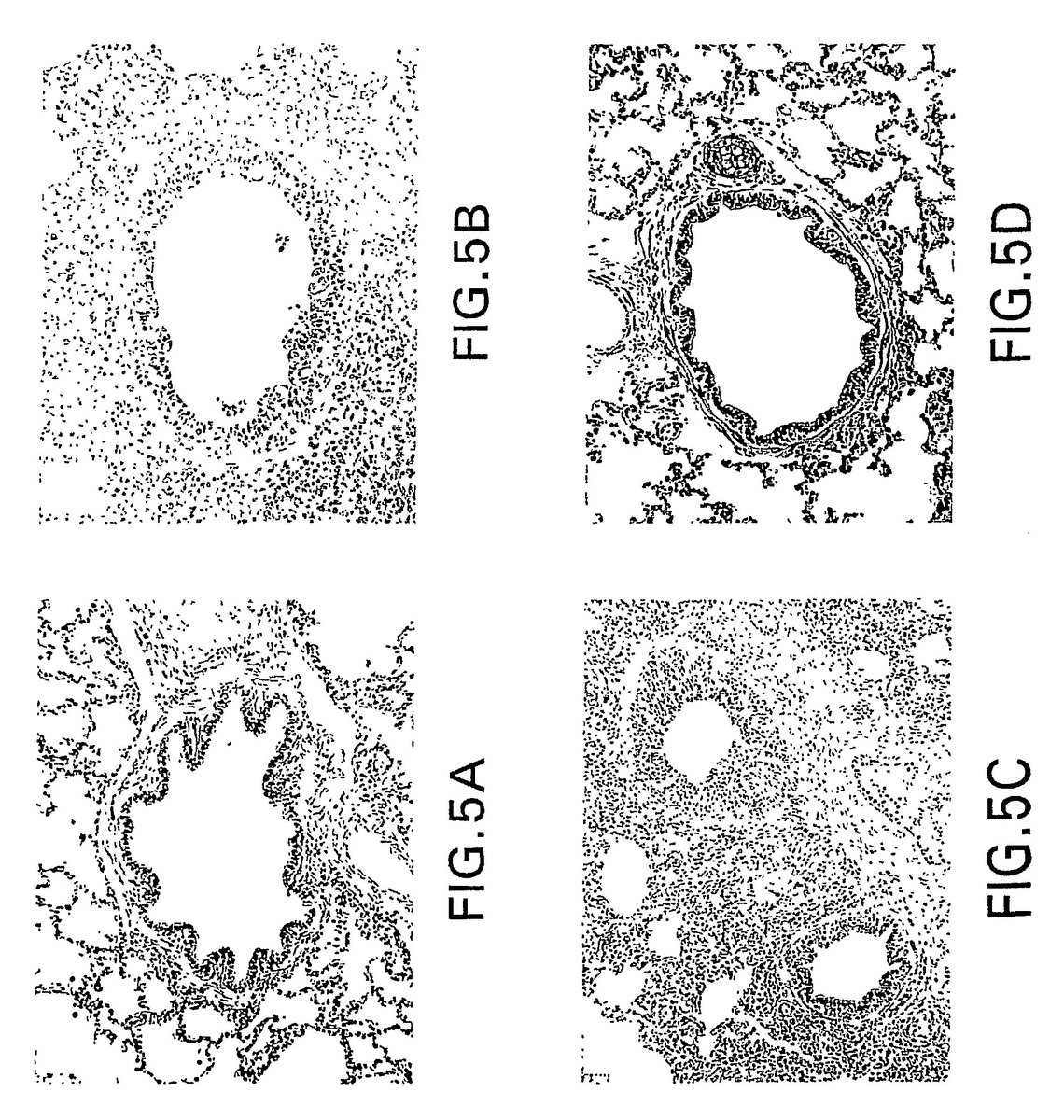 🜌🜈🜓 tweet media