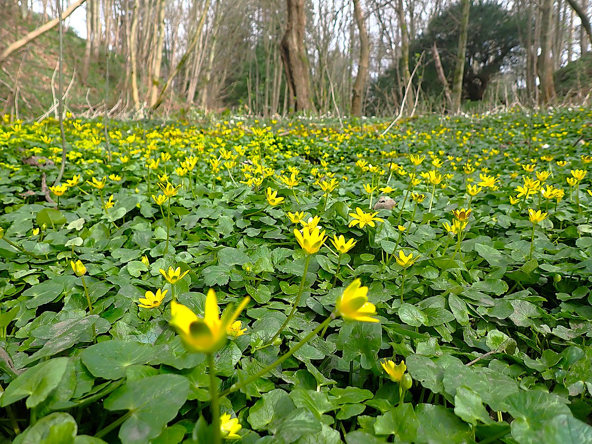 Keith Broomfield tweet media