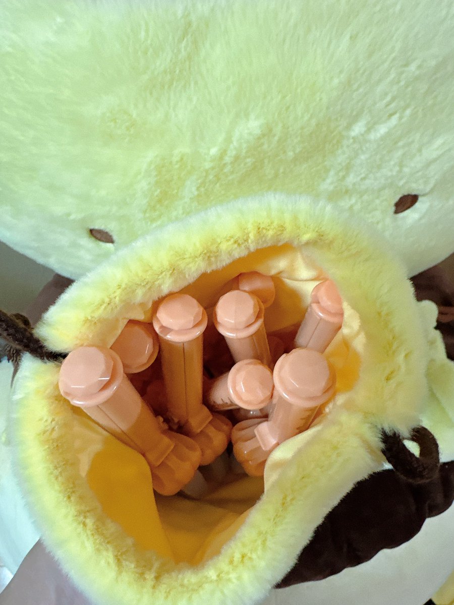 月兎ティア🍮💛 tweet media