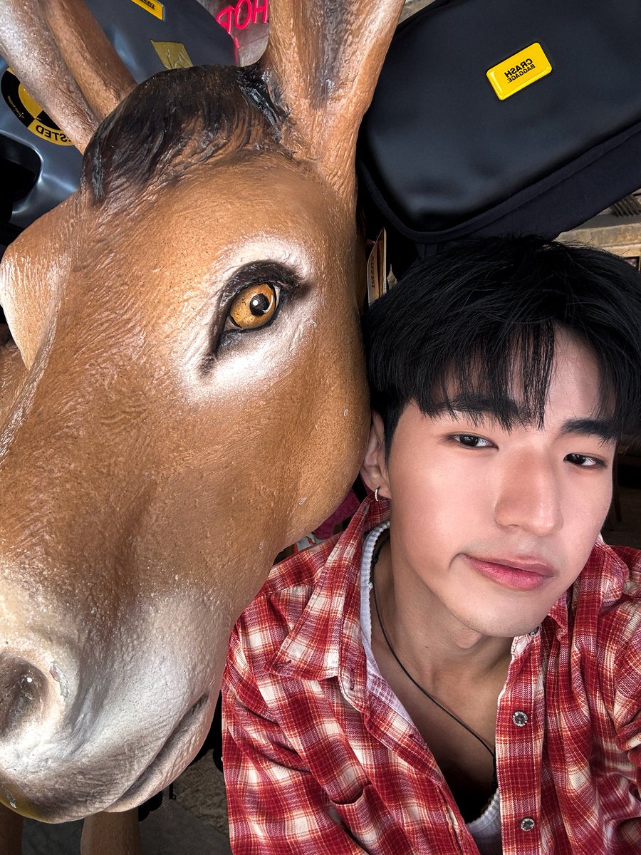 Prom.kcy tweet media