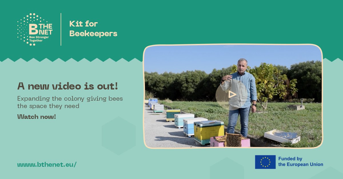 B-THENET tweet media