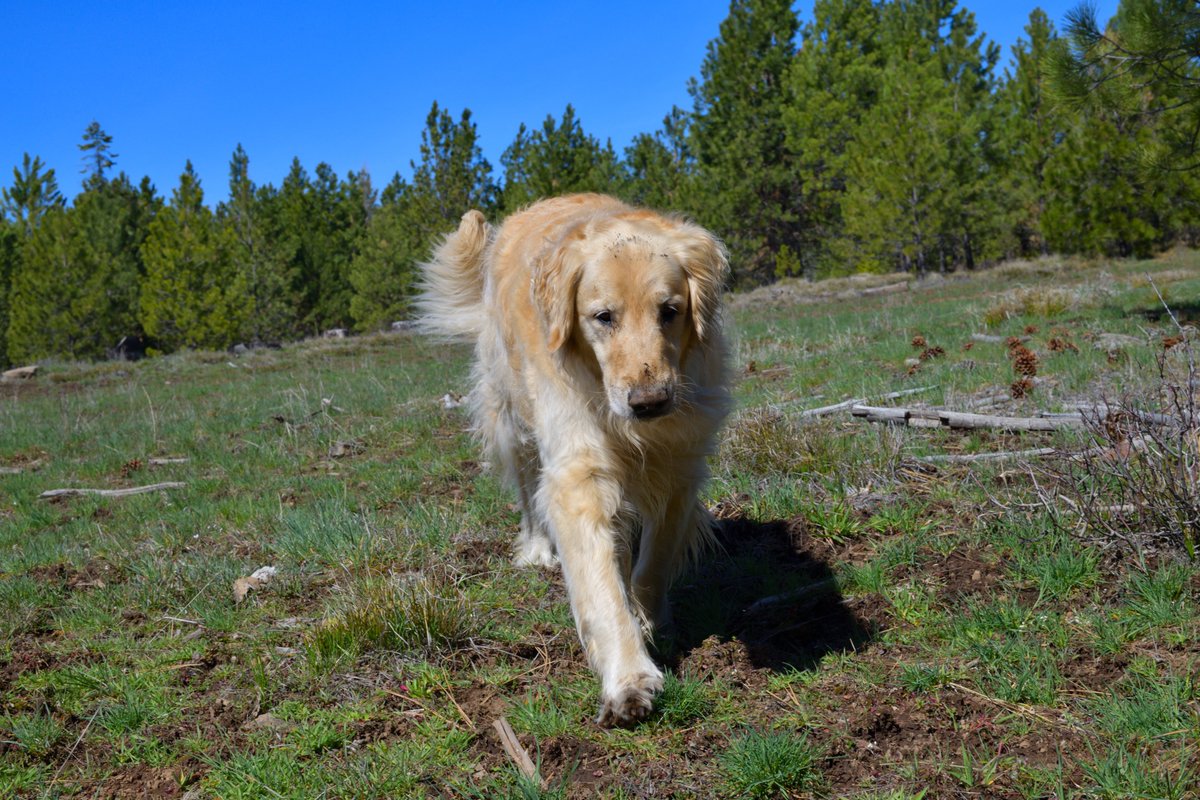 Rich Rautenstrauch tweet media