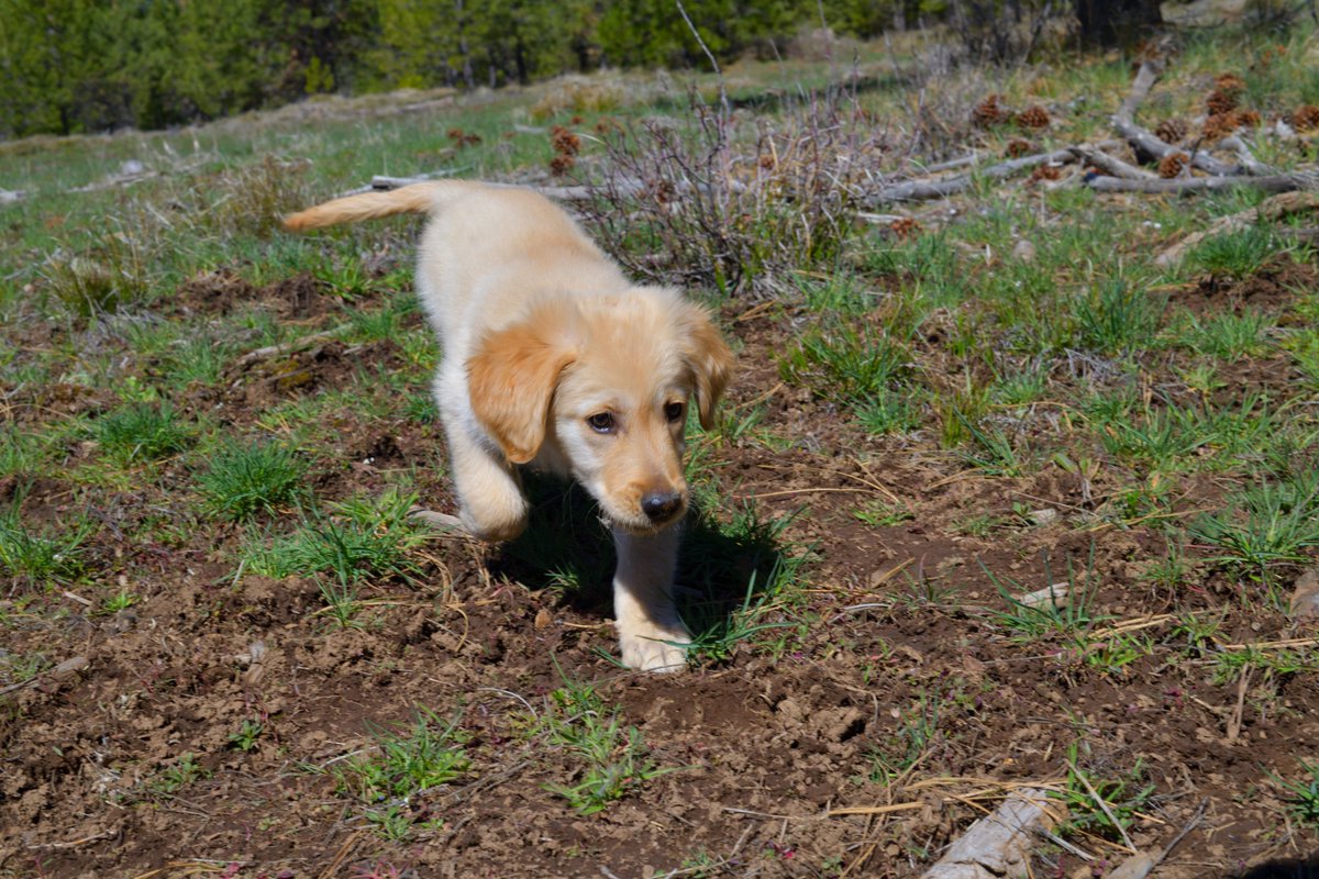 Rich Rautenstrauch tweet media