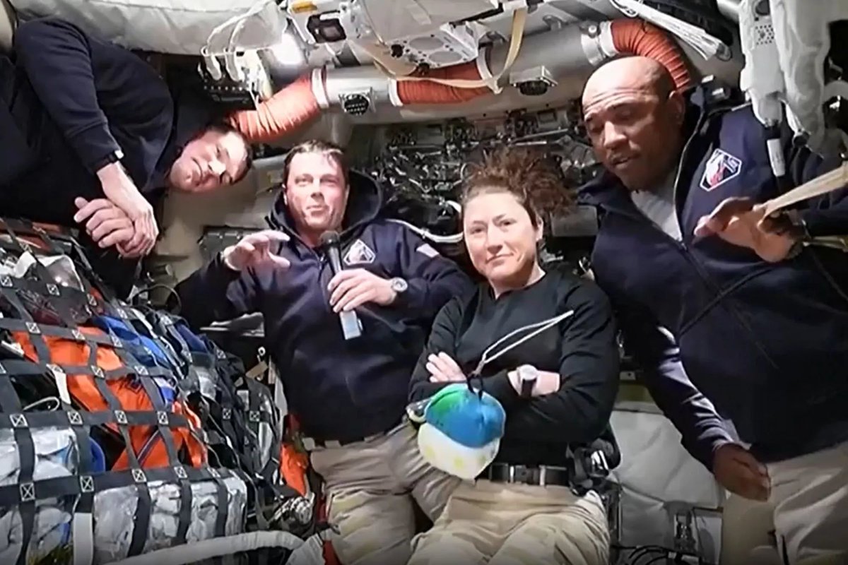 Curiosity tweet media