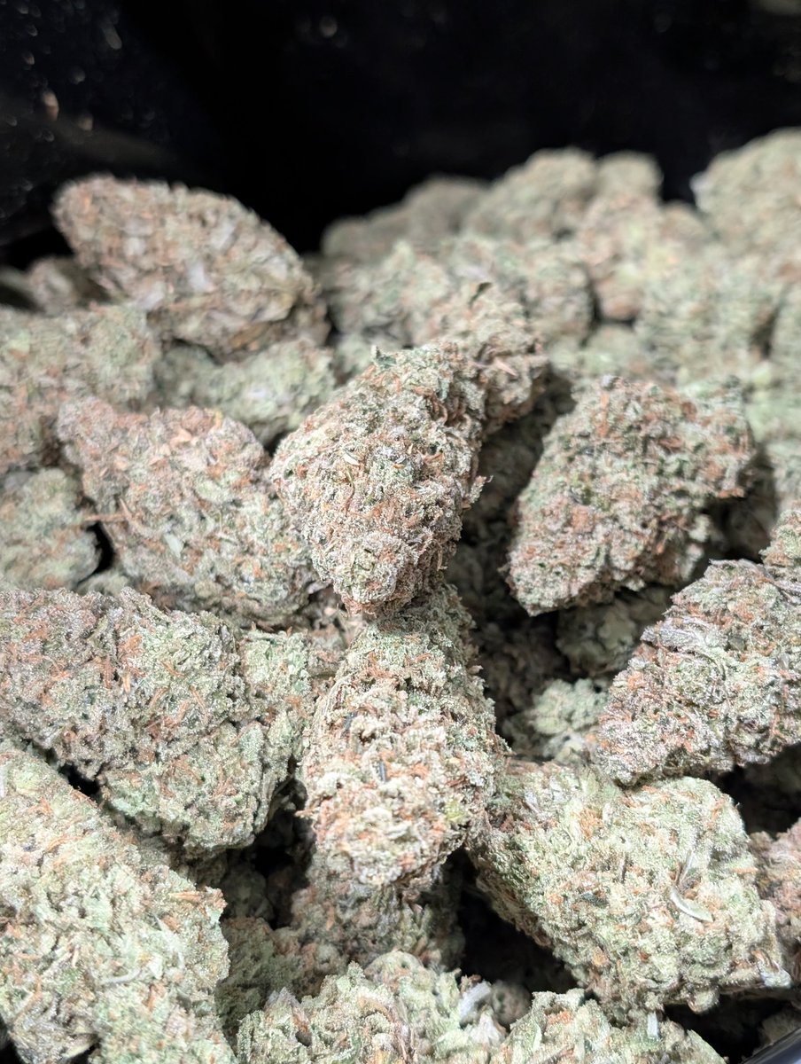 KingDgrow's tweet image. What is the average price per pound in your state?
This is our Super Lemon Haze all trimmed up, getting ready for testing.
✨Like &amp;amp; Share✨ 💚🌱
#growyourown #cannabis #weed