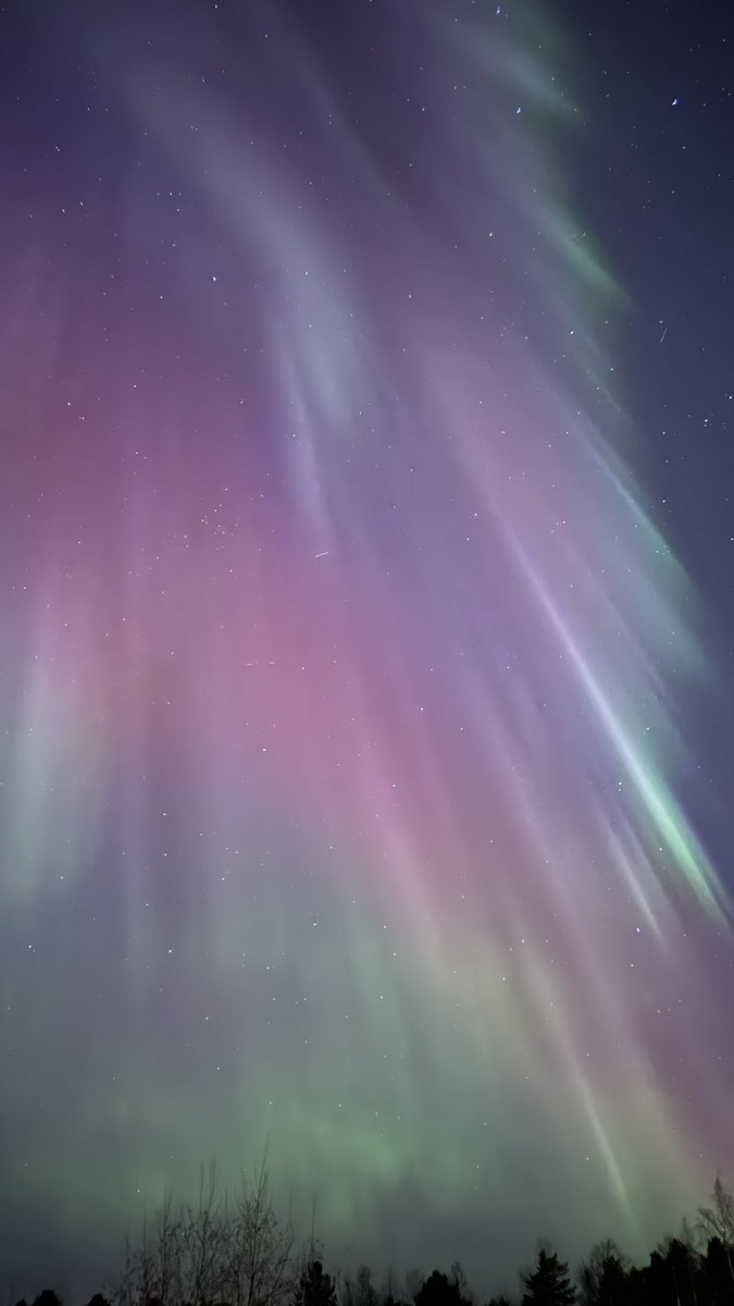 آخرین بار کی غذا خوردی؟ tweet media