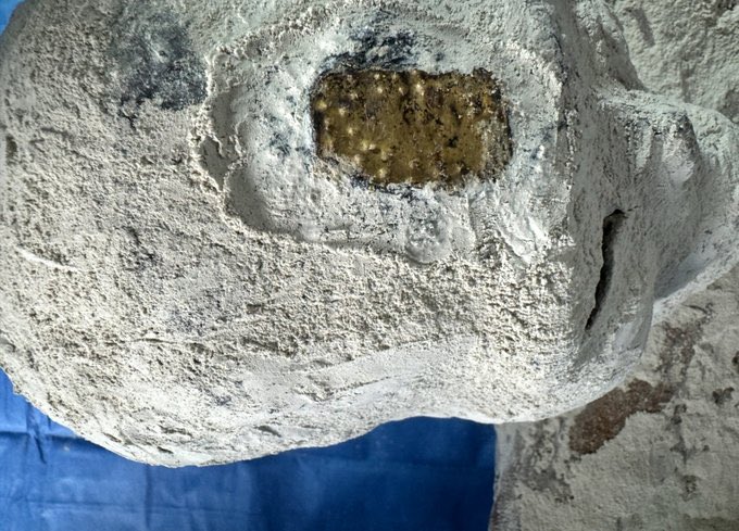 Extraterrestre tweet media