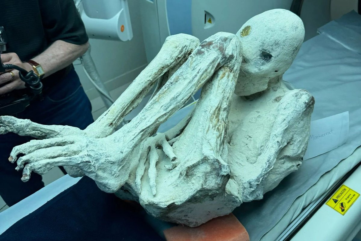 Extraterrestre tweet media