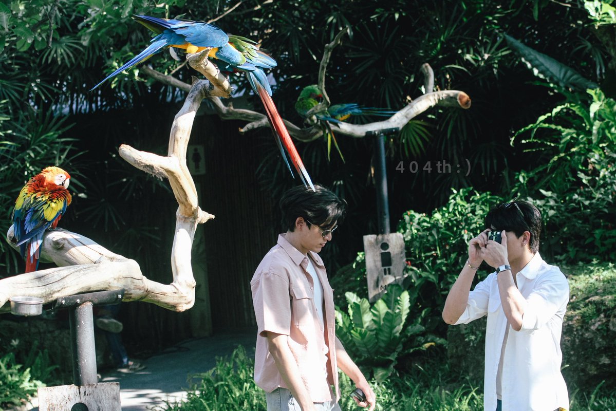 404th 🐻🐧 tweet media