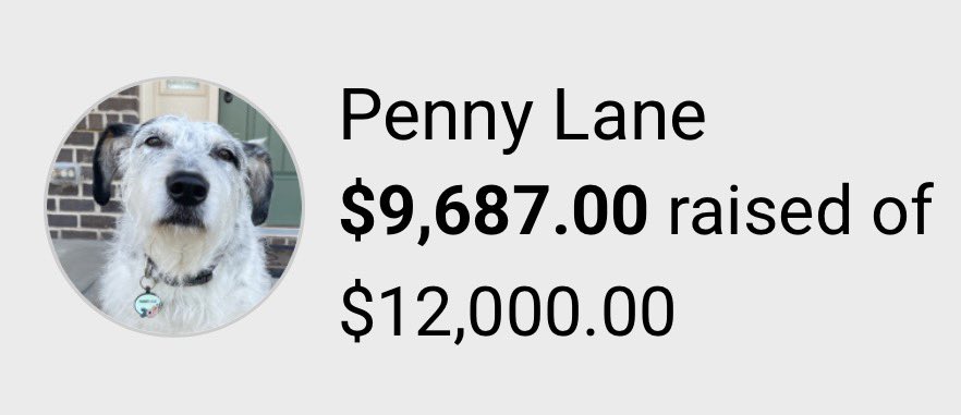 𝗣𝗲𝗻𝗻𝘆 𝗟𝗮𝗻𝗲- Lawn Potato TM tweet media