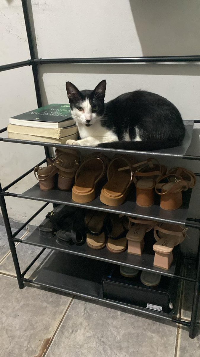 Iuri Prardo tweet media