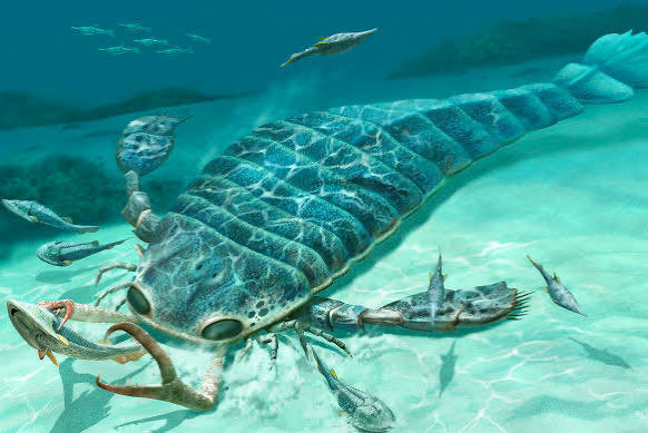 Sebecids Very excited for Sebecids and Jaekelopterus.