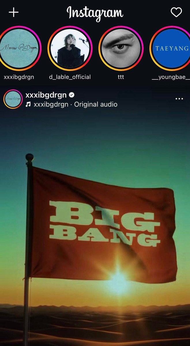 WildTurtle! tweet media