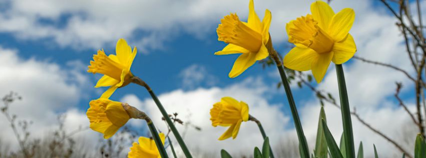 CNHC_UK's tweet image. The latest issue of our newsUpdate is out now: mailchi.mp/cnhc.org.uk/ma…
If you don't subscribe to it already, you can sign-up on our website to receive it direct to your email inbox. Visit ow.ly/BAnT50W1KoT
#CNHC #AccreditedRegister #ComplementaryTherapy