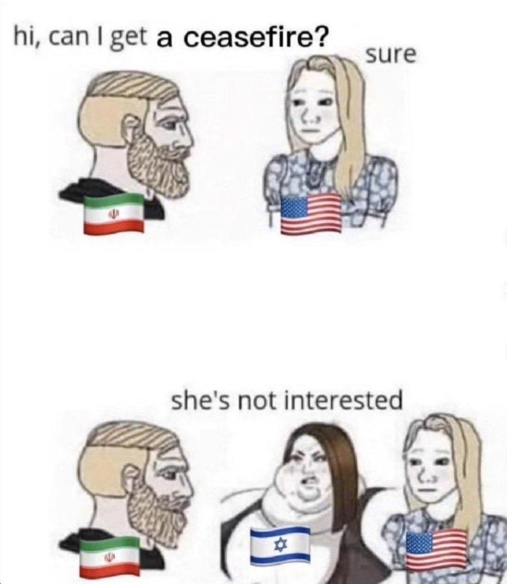 Fish_Groyper tweet media