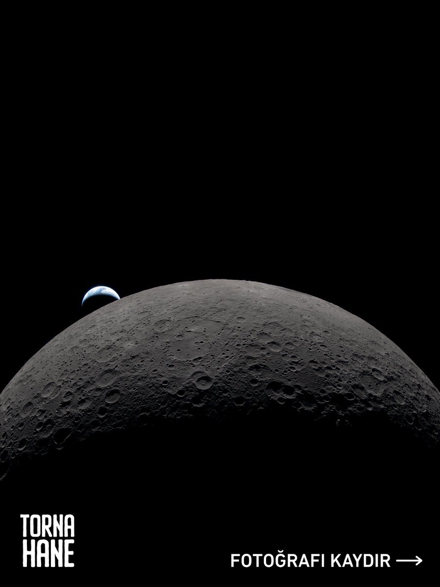 Tornahane tweet media