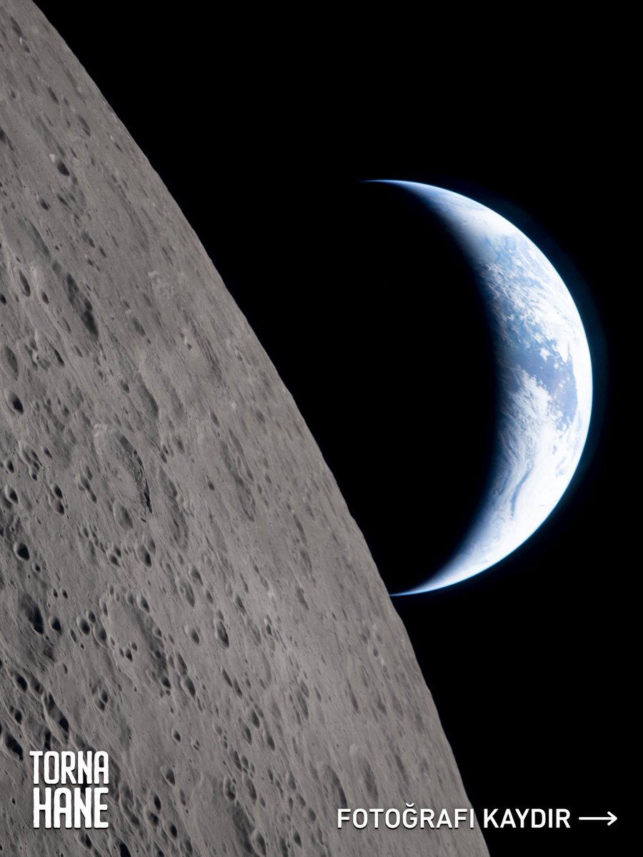 Tornahane tweet media