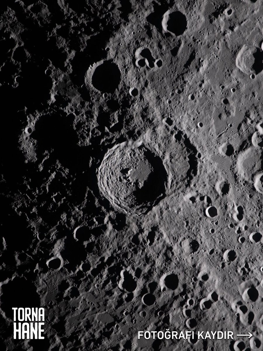 Tornahane tweet media