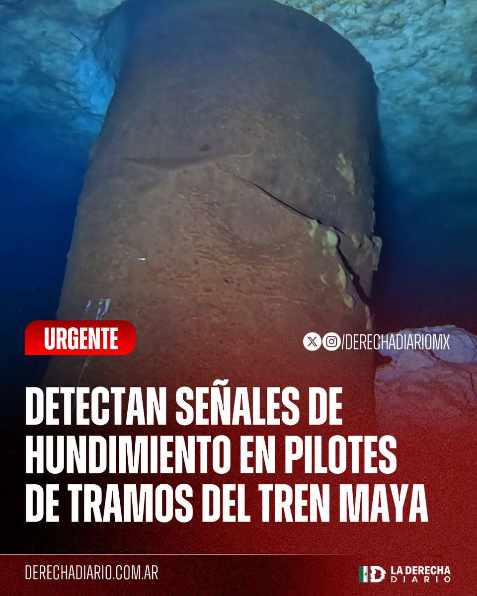 La Derecha Diario México tweet media