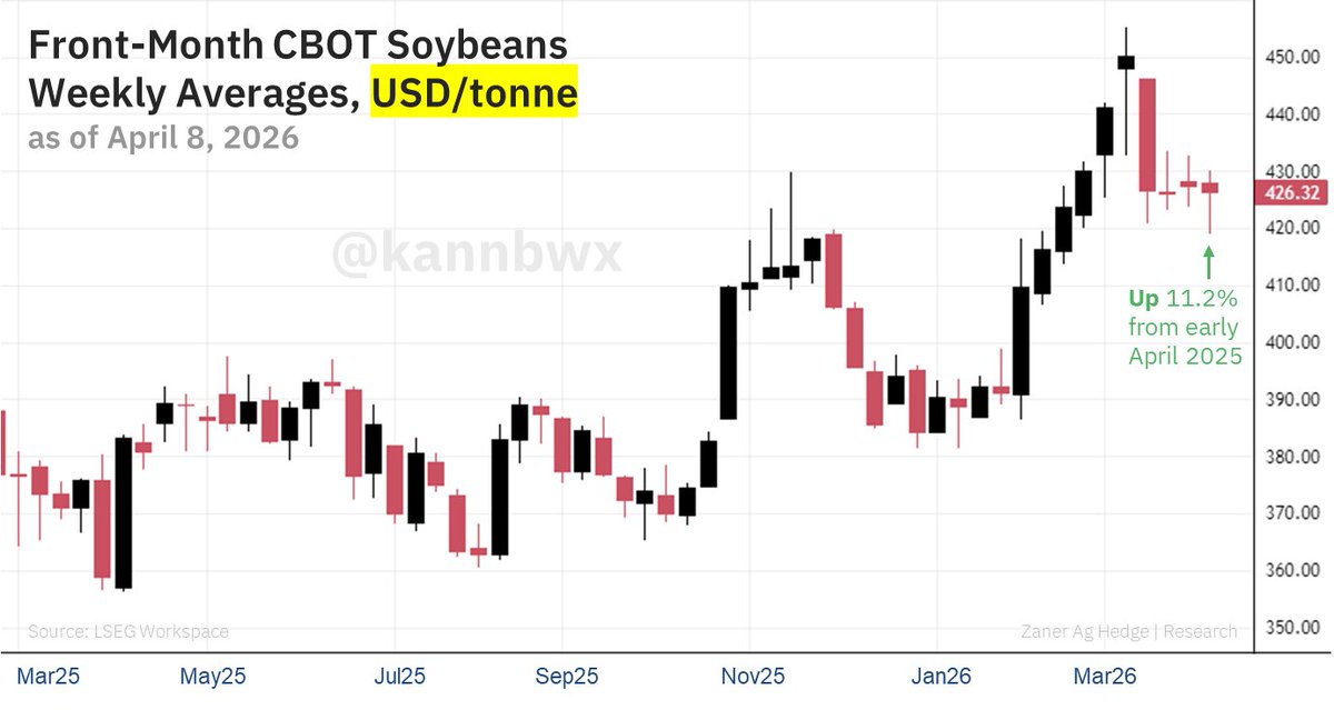 Karen Braun tweet media