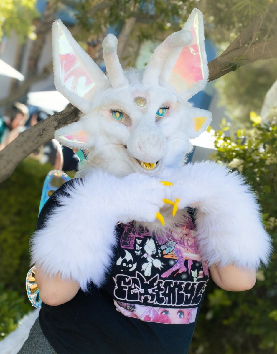 Radia! ‧₊˚⊹𓈒 ࣪ ˖ tweet media