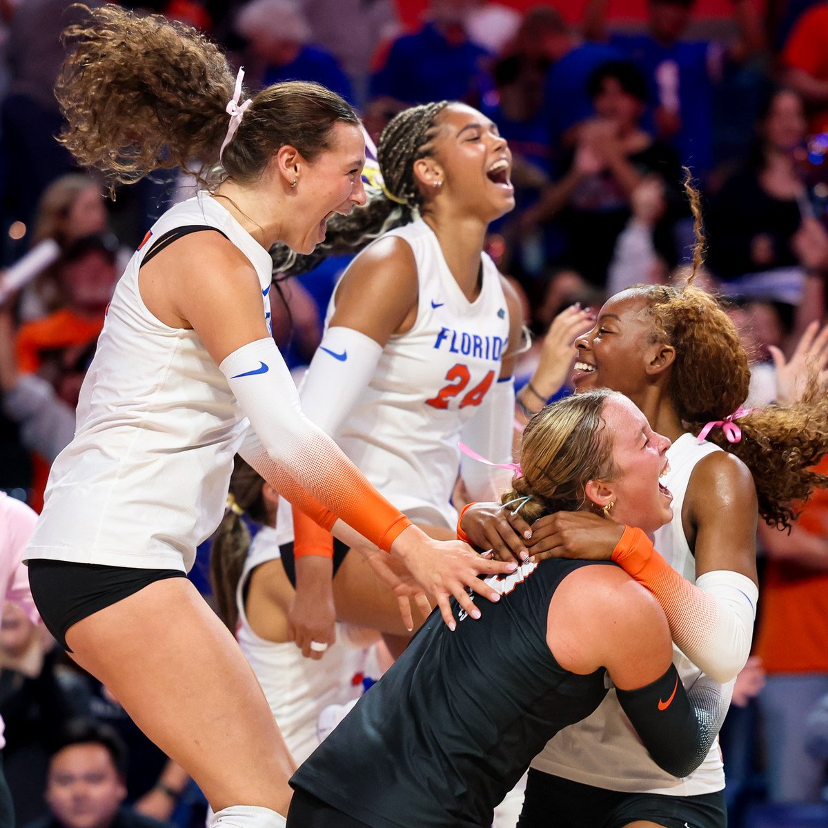Gators Volleyball tweet media