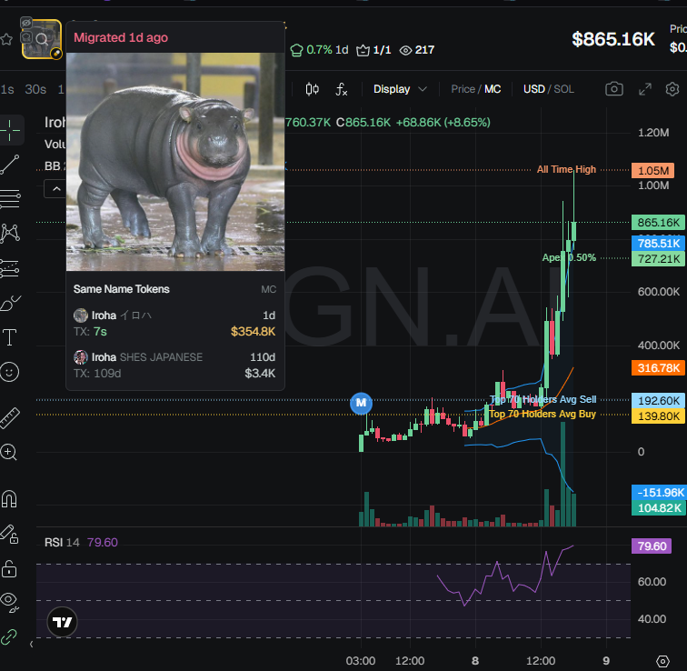 badattrading_'s tweet image. $Iroha (CA 9SeCSdbPzz95KomGUGEV9Shn2zGXNmMJhE9J72Hipump) doesn't have snipers and insiders per devsnightmare. M4ks, artemisjpl,  Double E Papa,  thommiegun, Apex,  peacefuldestroy, duval are top holders.

Bubblemap is clean. CEX map cluster has 68.2%,  Binance funded wallets have