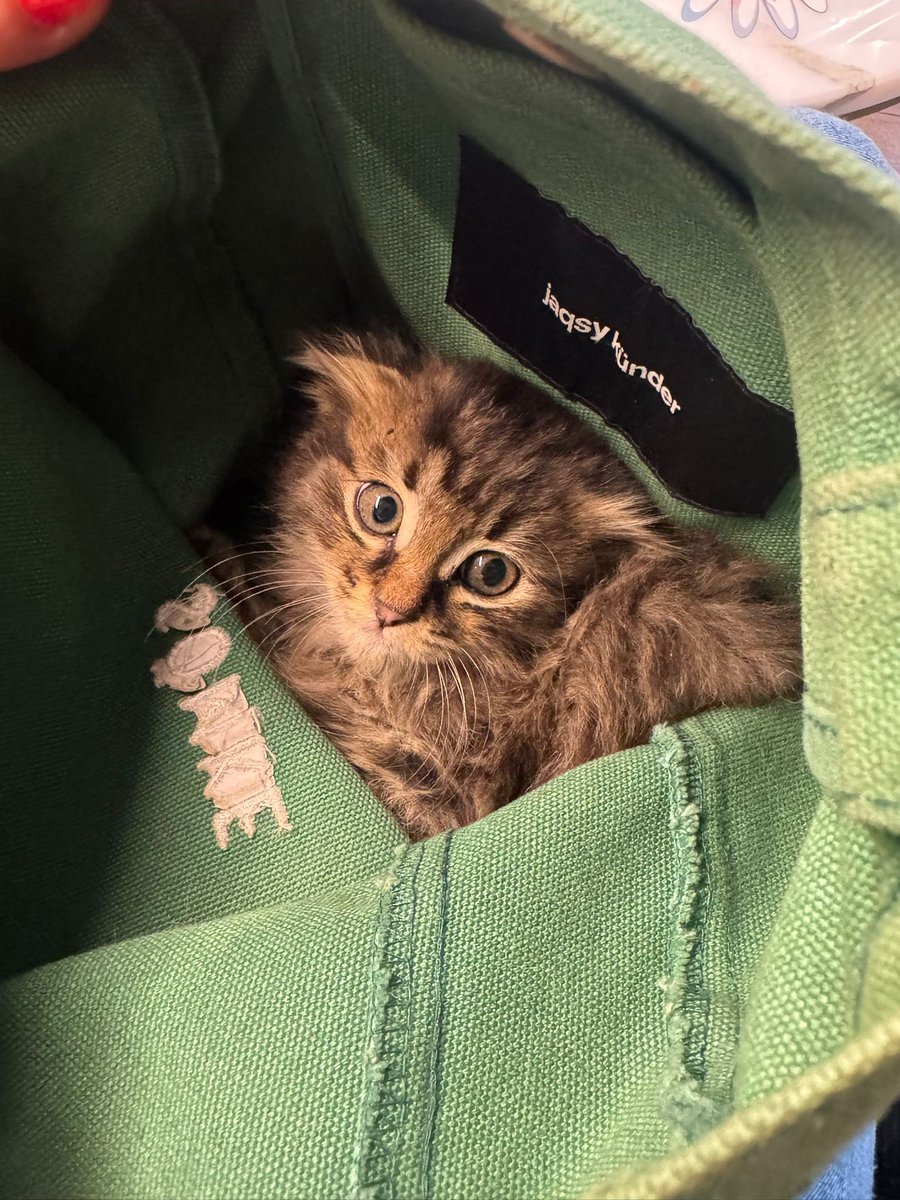 benzemez tweet media