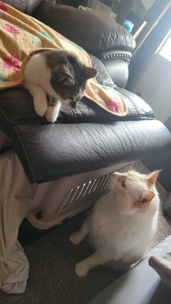 Jackraidenlol | 84K! 💜 tweet media