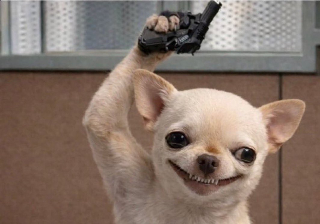 lobistars🇳🇬 tweet media